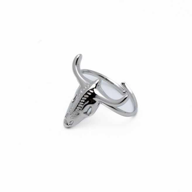 ANILLO Acero ZO10488R180 A510