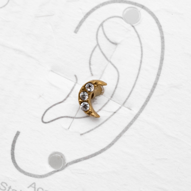 ARETE PIERCING ZO13795E DORADO Acero Inxidable F38