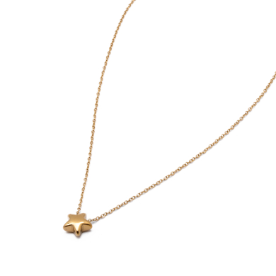 COLLAR ZO15309N DORADO Acero Inxidable E25