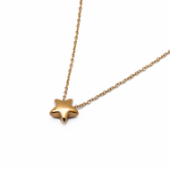 COLLAR ZO15309N DORADO Acero Inxidable E25