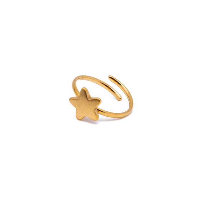 ANILLO ZO13304R Dorado Acero Inoxidable -A11