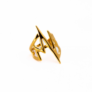 ANILLO ZO10250R150 Dorado Acero Inoxidable -2A24