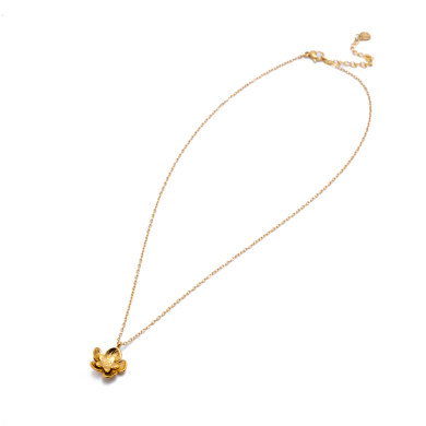 COLLAR Y00525 DORADO Acero Inoxidable E25