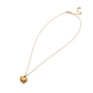 COLLAR Y00525 DORADO Acero Inoxidable E25