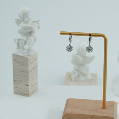 ARETES ZO12309E PLATEADO Acero Inoxidable G23