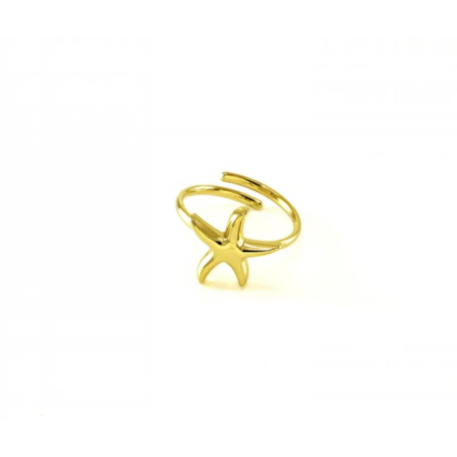ANILLO ZO12001R150 DORADO Acero Inoxidable