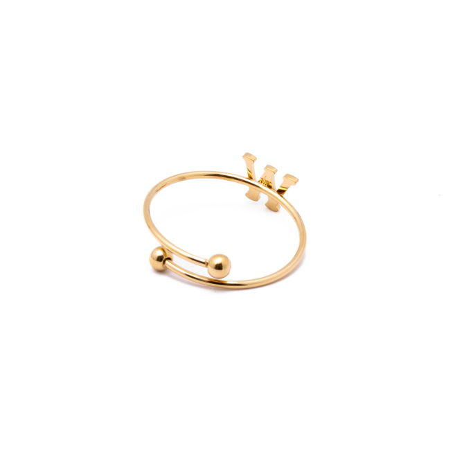 ANILLO COCN INICIAL W Acero ZO899R100 /2A17 -2A210