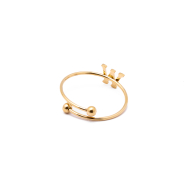 ANILLO COCN INICIAL W Acero ZO899R100 /2A17 -2A210