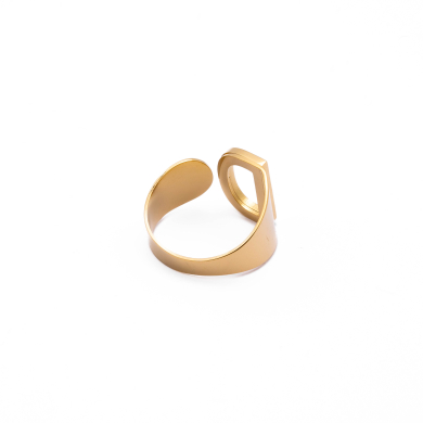 ANILLO COCN INICIAL D Acero ZO775R150 /2A510