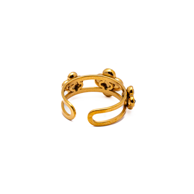 ANILLO ZO15099R DORADO+CAFE Acero Inoxidable A42