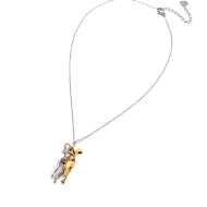COLLAR ZO12117N BICOLOR Acero Inoxidable