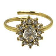 ANILLO ZO15173R PLATEADO Acero Inoxidable