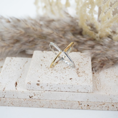 ANILLO ZO11126R150 BICOLOR Acero Inoxidable