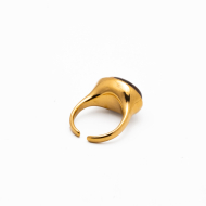 ANILLO Y00566 MARRON Acero Inoxidable