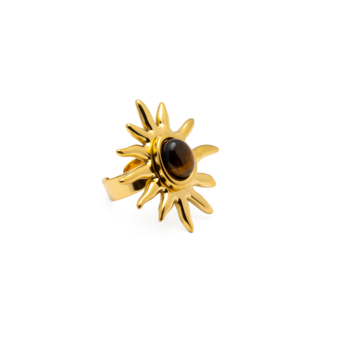 ANILLO Y00736 MARRON Acero Inoxidable