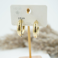 ARETES ZO8780E/6*24MM/300 DORADO Acero Inoxidable