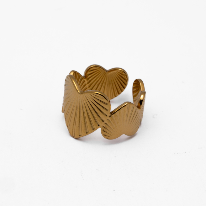 ANILLO Y00061 Acero Inoxidable 2A36 2A46