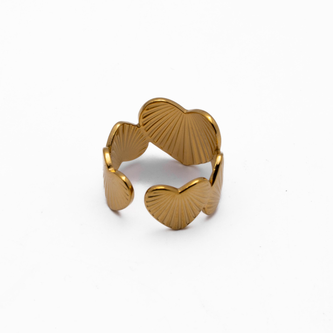 ANILLO Y00061 Acero Inoxidable 2A36 2A46