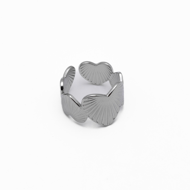 ANILLO Y00061 Acero Inoxidable 2A36 2A46