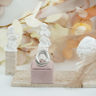 ANILLO ZO12623R300 PLATEADO Acero Inoxidable
