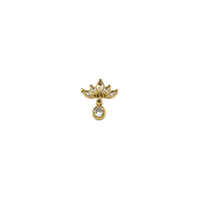 ARETES ZO15790E PLATEADO Acero Inoxidable G21
