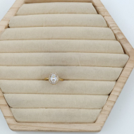 ANILLO ZO10810R ROSA DORADO Acero Inoxidable A310
