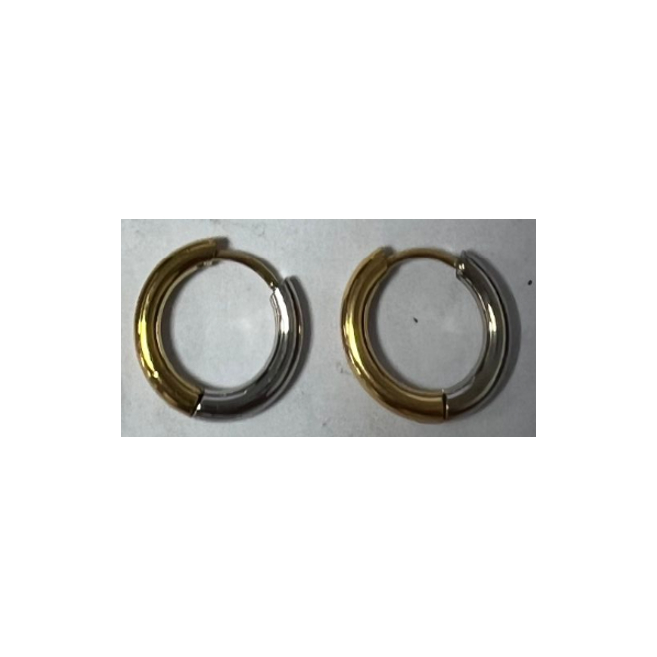 ARETES ZO15944E BICOLOR Acero Inoxidable
