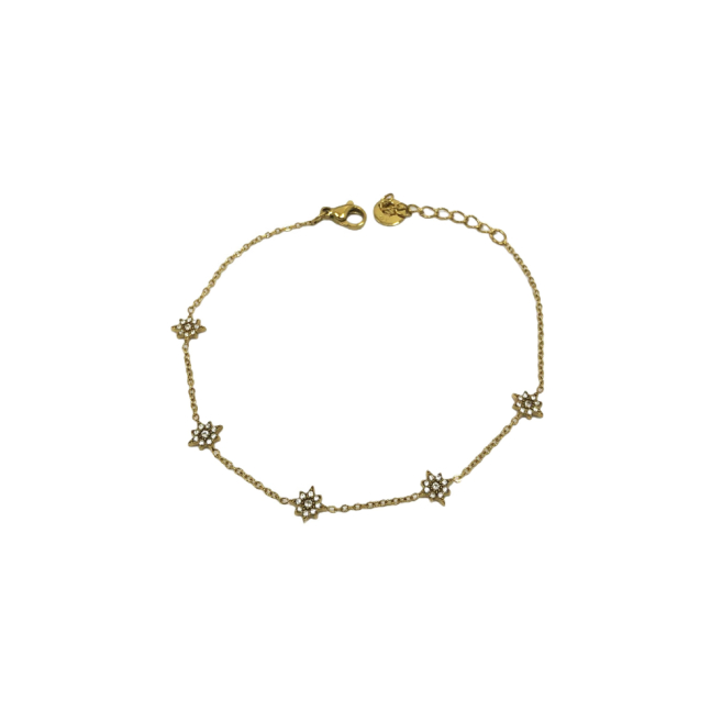 PULSERA ZO15573B DORADO Acero Inoxidable