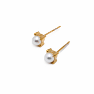 ARETES ZO15617E DORADO Acero Inoxidable G46
