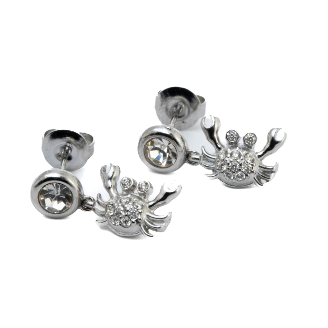 ARETES ZO15045E PLATEADO Acero Inoxidable F58