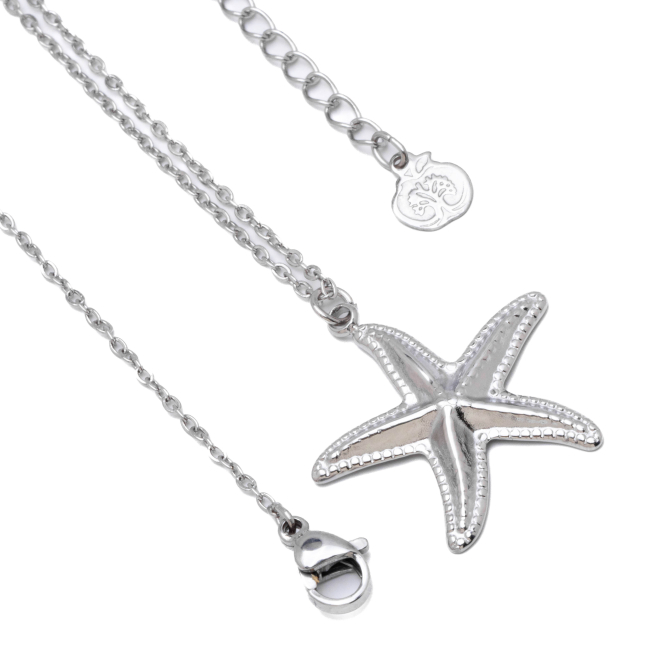 COLLAR ZO14463N PLATEADO Acero Inoxidable E22