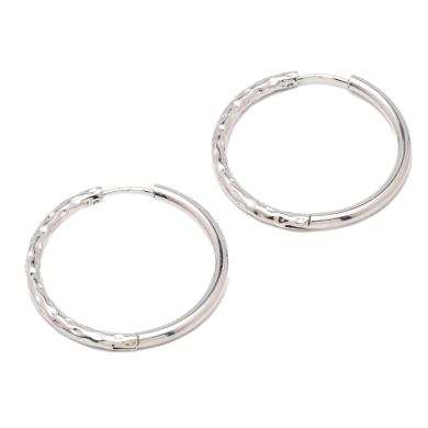 ARETES ZO13033E/2.5*30MM Plateado Acero Inoxidable -F47 F24