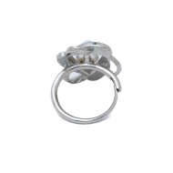 ANILLO Acero ZO10666R300 /2A41