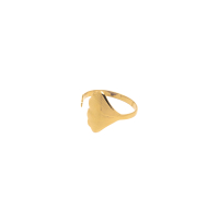 ANILLO ZO7977R Dorado Acero Inoxidable -2A33