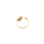 ANILLO ZO7977R Dorado Acero Inoxidable -2A33