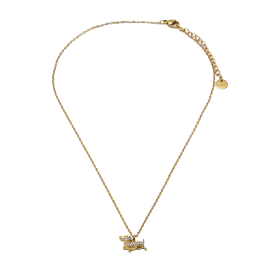 COLLAR ZO15874N DORADO ACERO INOXIDABLE 2D31