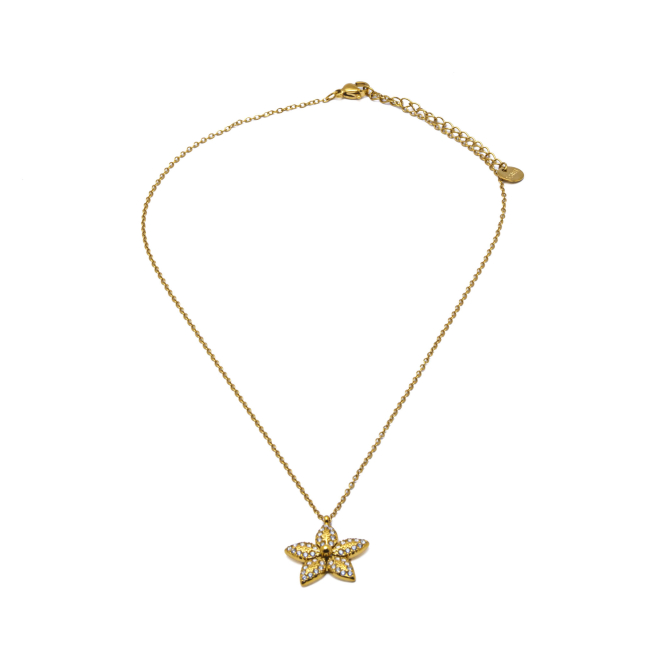 COLLAR ZO15396N DORADO ACERO INOXIDABLE 2D31
