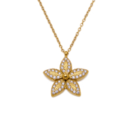 COLLAR ZO15396N DORADO ACERO INOXIDABLE 2D31