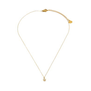 COLLAR ZO8352N DORADO ACERO INOXIDABLE 2D21