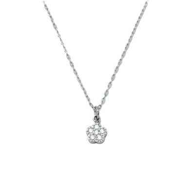 COLLAR ZO8352N PLATEADO ACERO INOXIDABLE 2D21