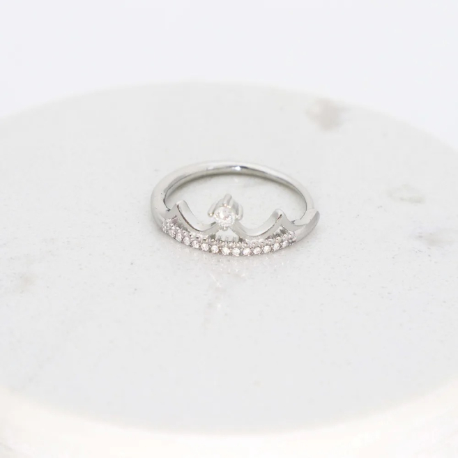 ANILLO Acero ZO10654R250 /A22