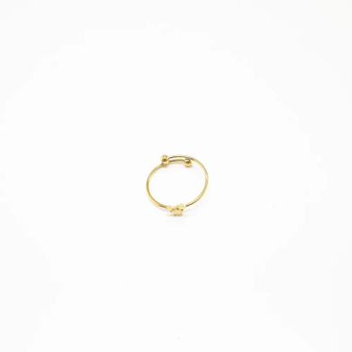 ANILLO Acero ZO6459R100 /2A21