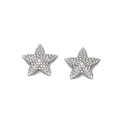 ARETES ZO15411E PLATEADO ACERO INOXIDABLE G31