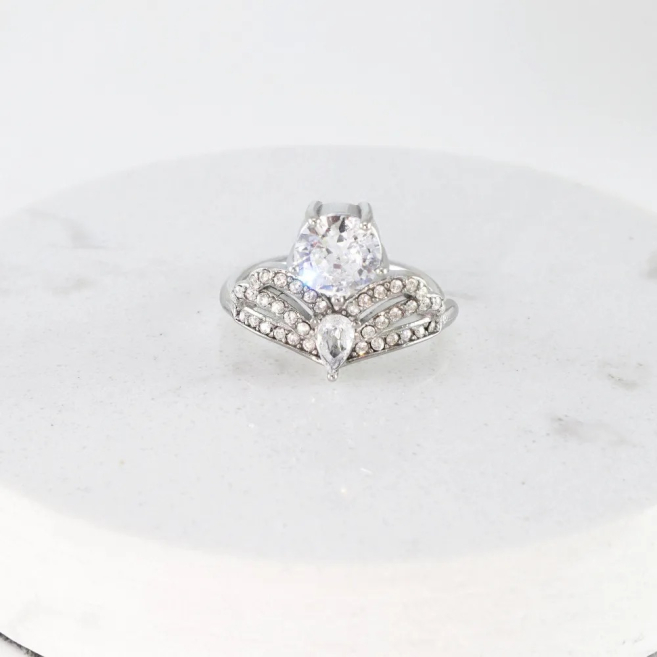 ANILLO Acero ZO10628R300 /A22