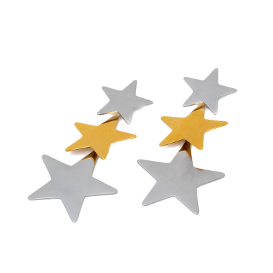 ARETES ZO5829E BICOLOR ACERO INOXIDABLE F31
