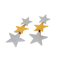 ARETES ZO5829E BICOLOR ACERO INOXIDABLE F31