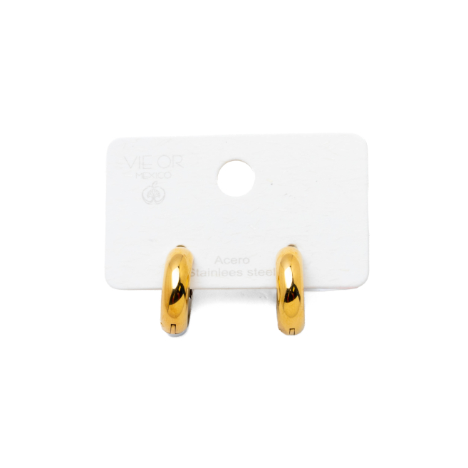 ARETES ZO11253E/5.0*12MM BICOLOR ACERO INOXIDABLE F23