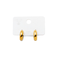 ARETES ZO11253E/5.0*12MM BICOLOR ACERO INOXIDABLE F23