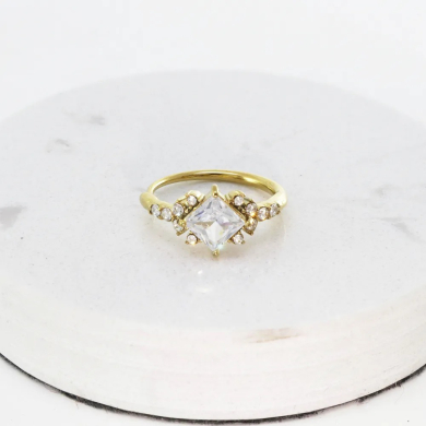 ANILLO Acero ZO10633R250 /A22