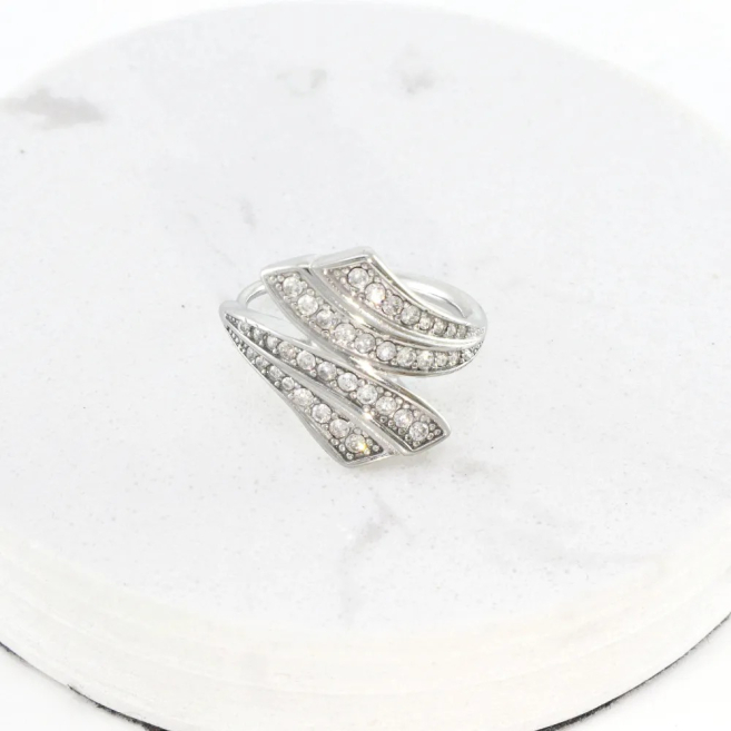 ANILLO Acero ZO10632R250 /A42